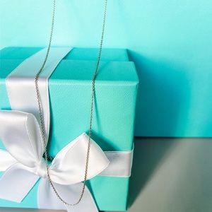 Tiffany & Co. 30” SS Pendant Chain